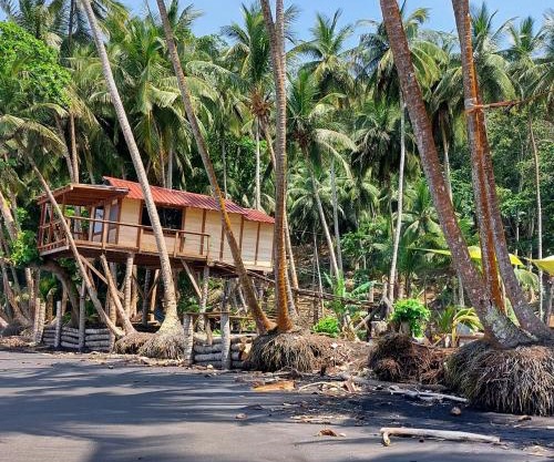 Tortue ecolodge - Casa Praia