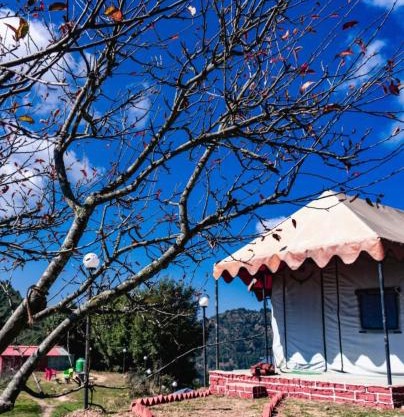 InstaView Kanatal