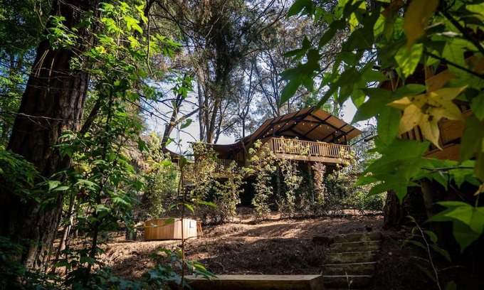 Valle de Bravo House | Pecana, incredible lodge in the forest with
