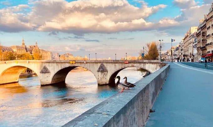Strasbourg -Saint-Denis Apartment | Urban Flat 57 - Luxury 4BDR Parisian Flat in Paris