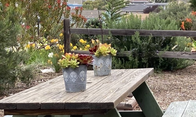 Baywood-Los Osos House | Baywood Garden Cottage