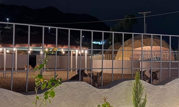 Al Baha Hotel | Makamaya Resort