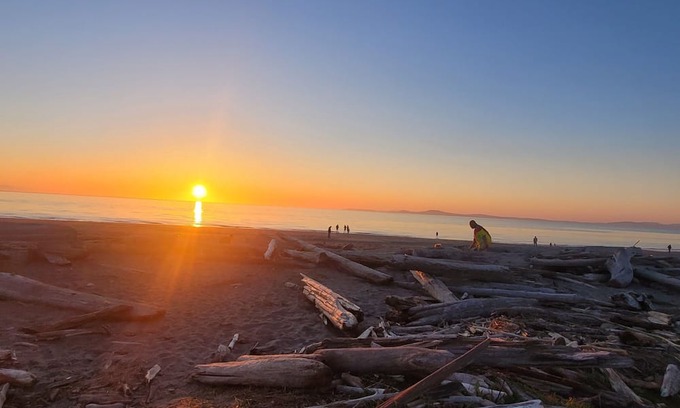 Oak Harbor House | Cozy and quiet spot -few minutes away from Deception pass!
