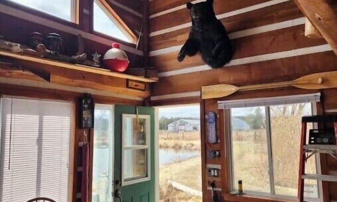 Clarington Cabin | The Dreamers Cabin at Dare2Dream Farm