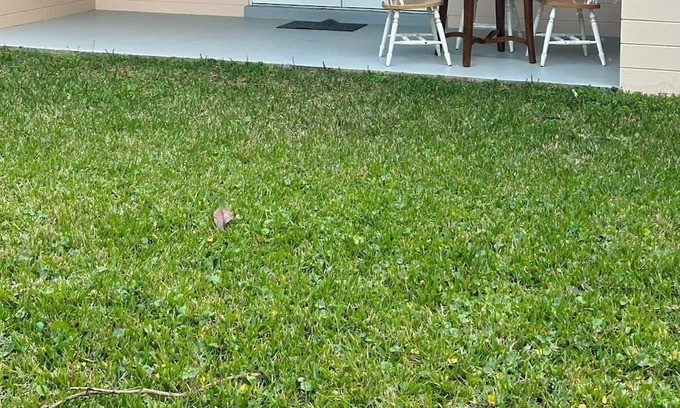 Holly Hill House | Terrific 3-bedroom house in Daytona Beach