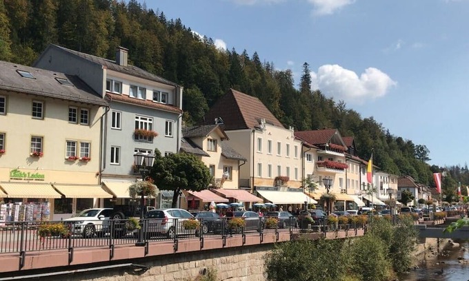 Menzenschwand-Hinterdorf House | Meierhof Menzenschwand