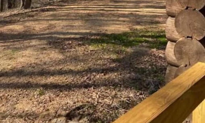 Tylertown Cabin | Less than 10 minutes to Paradise Ranch Resort Campground