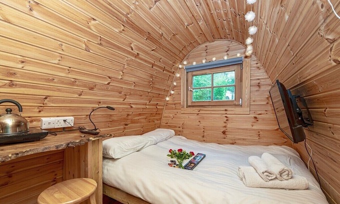 Taicynhaeaf Apartment | Magical Forest Nest ** Hot tub ** Pet friendly
