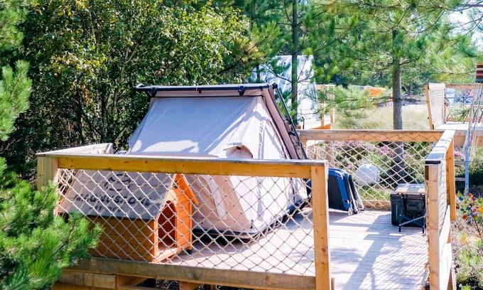 Steenodde RV Rental | Dünen Logdes bis 4 Personen - Dünencamping Amrum