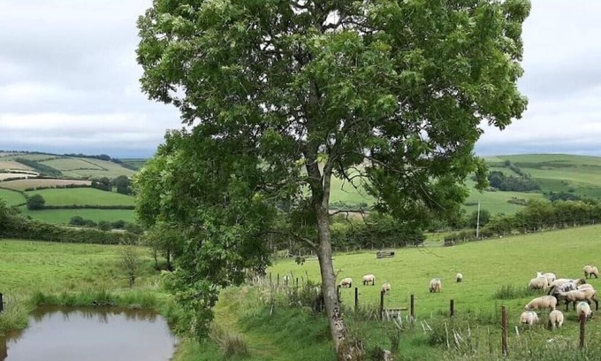 Newcastle-on-Clun Apartment | Eco-Accommodation
