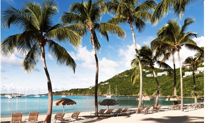 Estate Bellevue Resort | Westin St. John Resort🌴2 BR Villa☀️