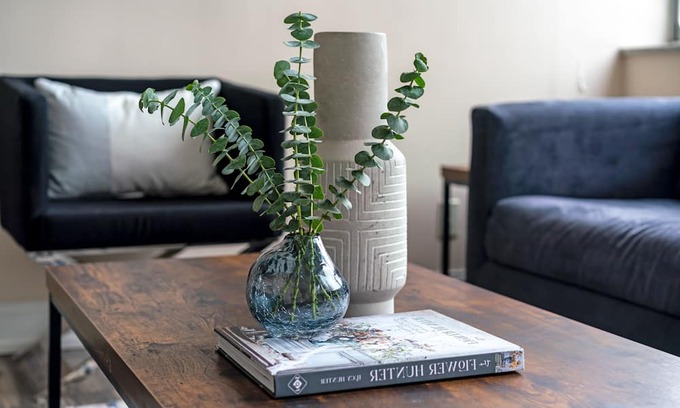 Downtown Cleveland Apartment | Downtown Cleveland Apartments By Barsala