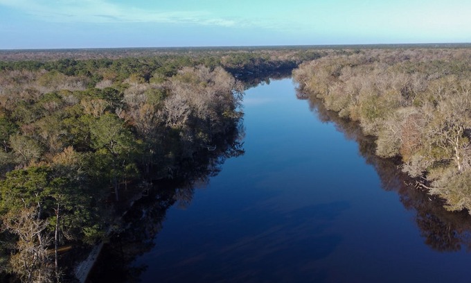 Bell Cabin | Charming Cabin w/ Dock on the Suwannee River