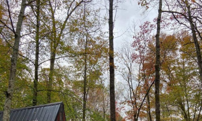 Means Cabin | Glamping Unit #5 - Punkin Hollow Resort