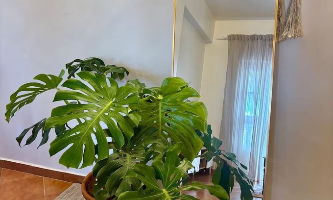 Benaulim Apartment | Bohame - Boho Poolside 1BHK, 2-Min Walk to Benaulim Beach