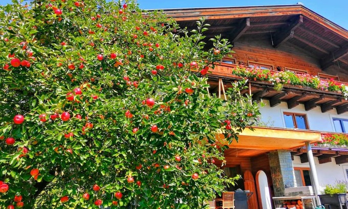 Muhlbach im Pinzgau Apartment | Centrally located characteristic and modern