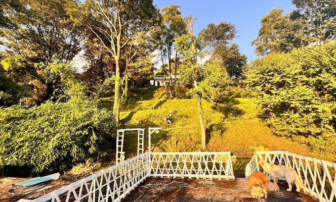 Gunehr Cottage | Konoha Retreat