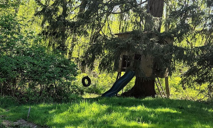 Saratoga Beach Cabin | Oyster river way animal sanctuary and party rentals