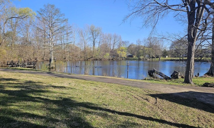 Olive Branch House | Grand 8-Bedroom Brick Southern Home with Lakeview Backyard.