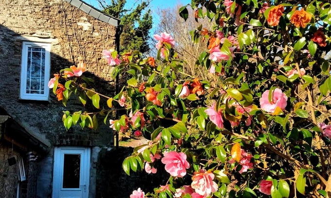 Saltash Cottage | Cute Cornish Cottage in stunning countryside close to gorgeous beaches.