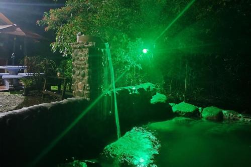 Chachagua Other | Habitación rodeada de las copas de los árboles