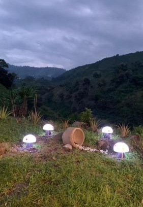 Manizales Hotel | AZAHARES HOTEL Y CAFÉ