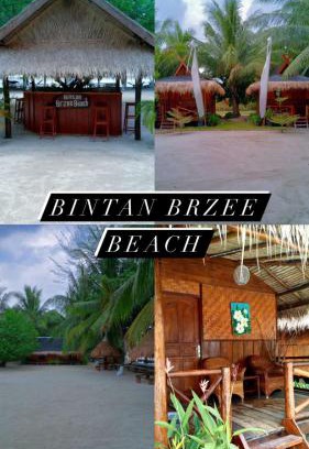 Berakit Cabin | Bintan Brzee Beach in Bintan Island - Bungalow 5